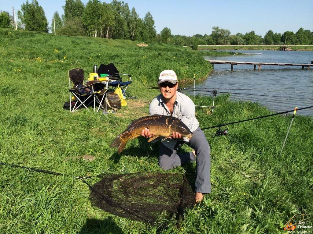 Рыбалка в нижегородской области: где клюет, кого ловить, правила