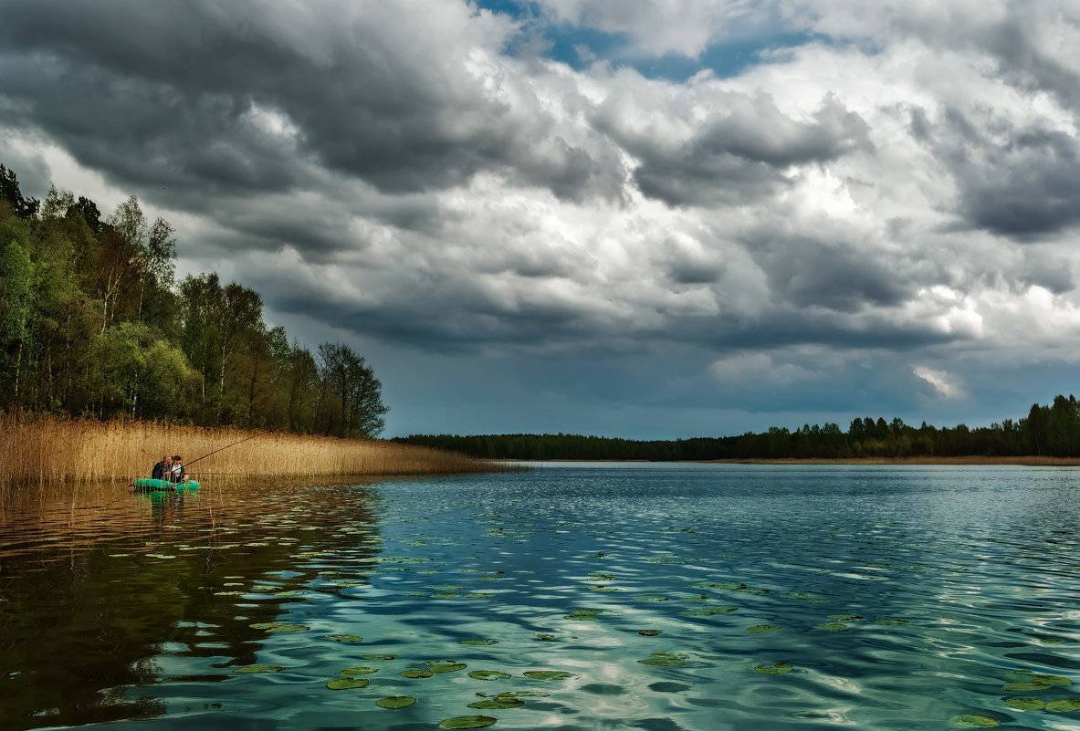Где клюёт рыба: лучшие места для рыбалки в псковской области в июле — августе