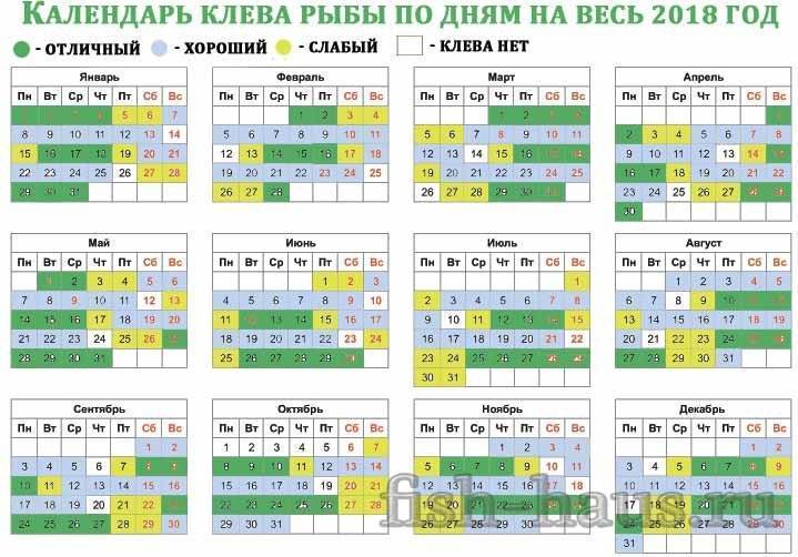 Прогноз клева рыбы в балашове