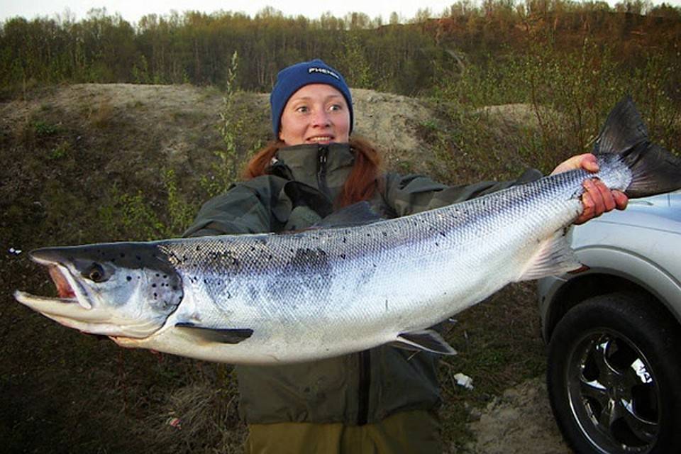 На рыбалку на белое море: что ловить, рыбные места :: syl.ru