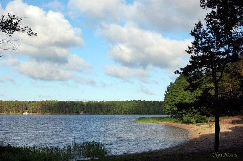 Озеро липовское. отдых в окрестностях санкт-петербурга