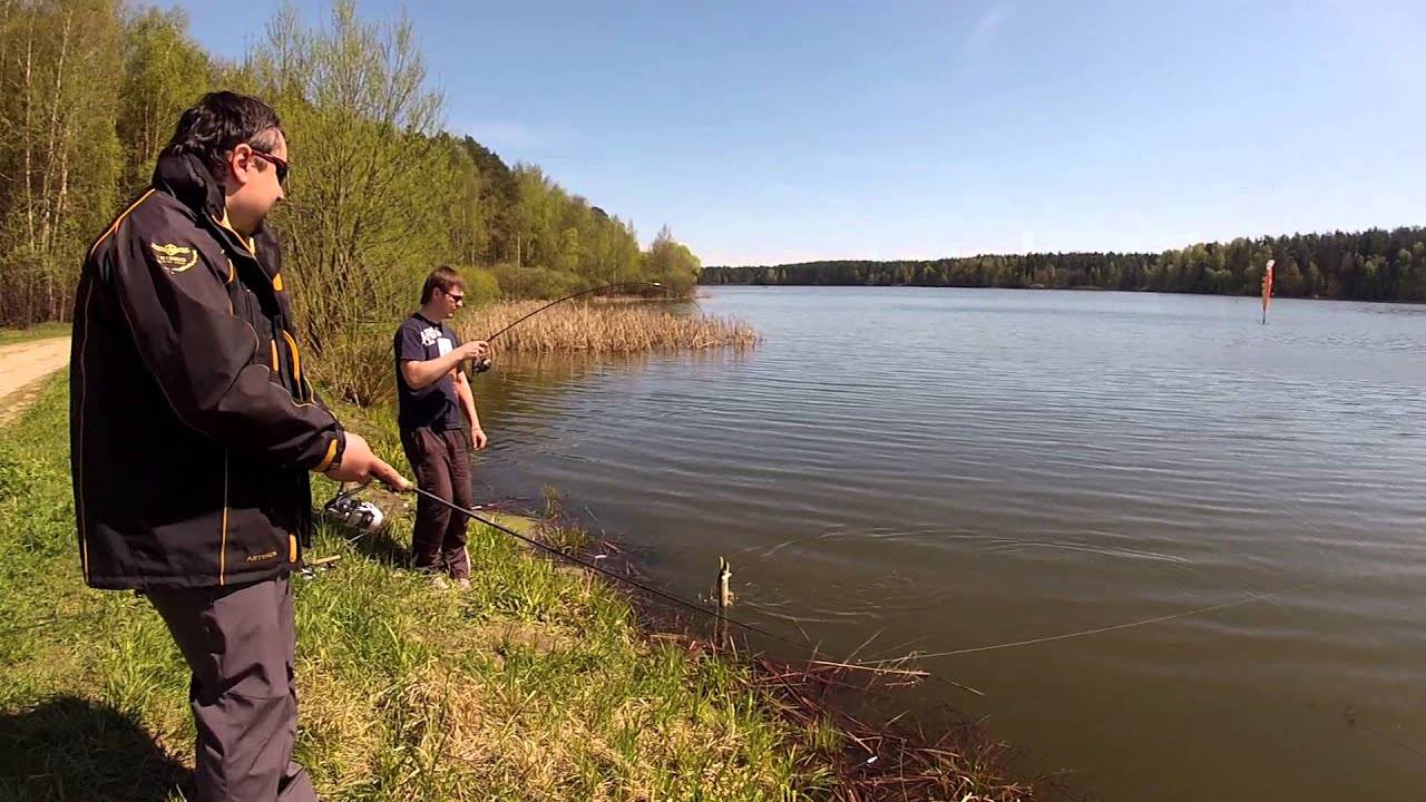 какая рыба водится в москве реке в раменском районе. Смотреть фото какая рыба водится в москве реке в раменском районе. Смотреть картинку какая рыба водится в москве реке в раменском районе. Картинка про какая рыба водится в москве реке в раменском районе. Фото какая рыба водится в москве реке в раменском районе