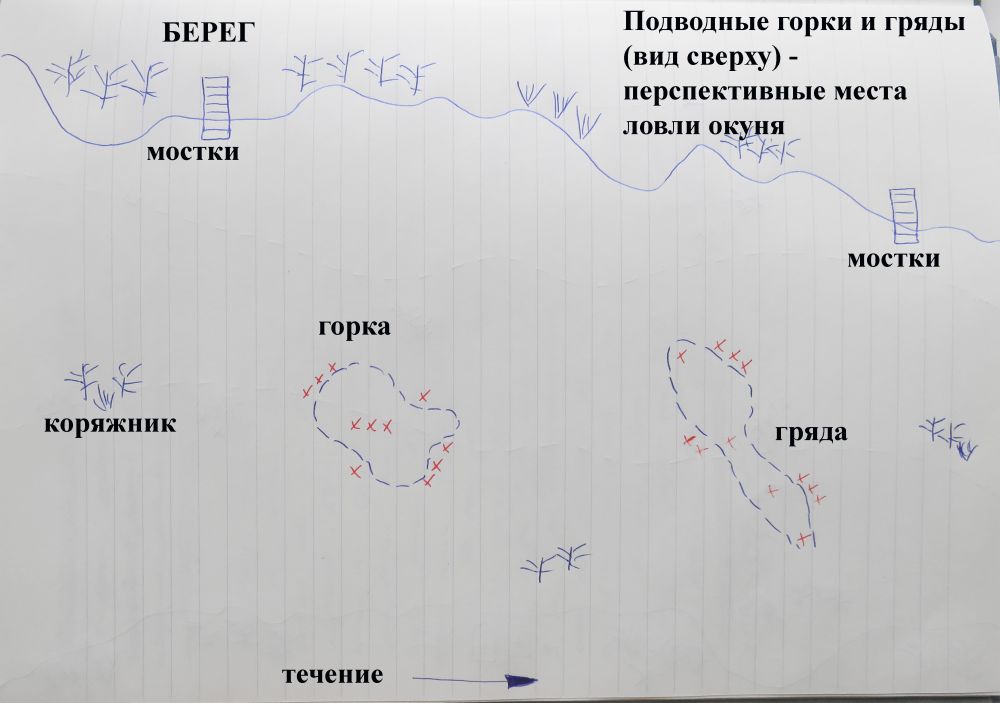 Как ловить окуня зимой: лучшие снасти и приманки