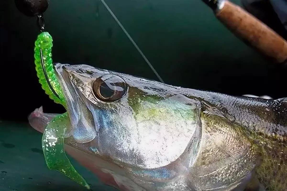Ловля на джиг: что это такое и как осуществляется джиговая рыбалка?