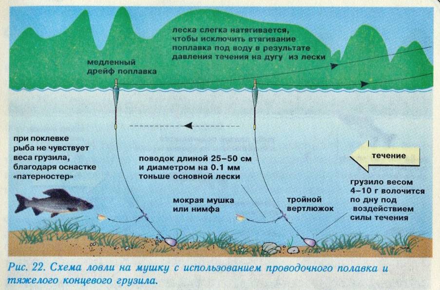 Ловля хариуса поплавочной удочкой: особенности и нюансы – рыбалке.нет