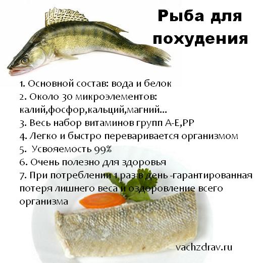 Диетическая рыба: список