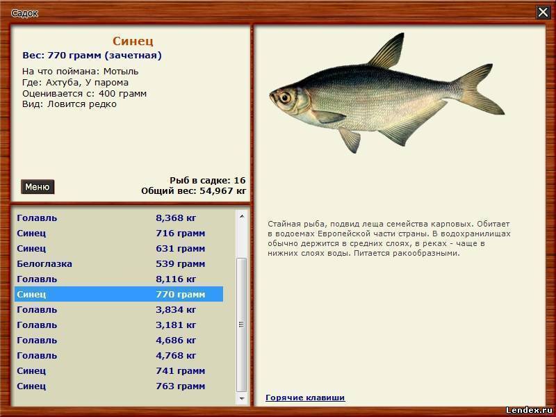 Лучшие места для рыбалки в пензенской области, рыбалка на суре - true fishing