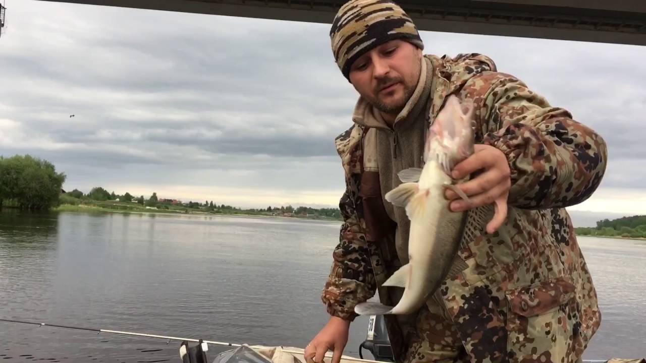 Вода в реке волхов. Грузино рыбалка река Волхов. Волхов мост рыбалка. Река Волхов рыбалка с берега. Река Волхов рыба.