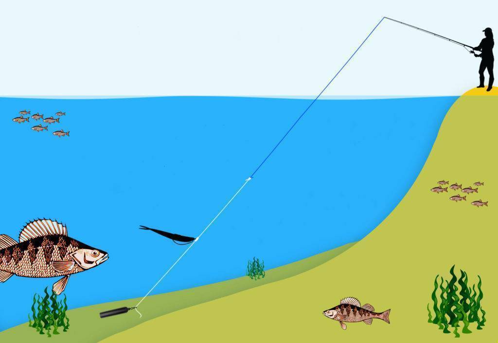 Рыбалка на дроп-шот: снасть, монтаж оснастки, техника ловли с берега