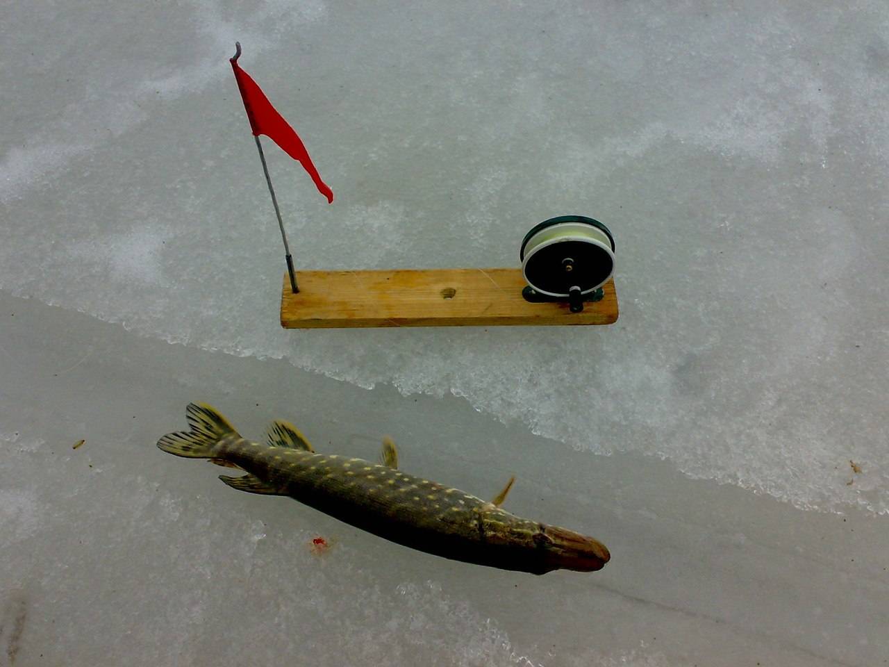 Зимняя рыбалка на жерлицы