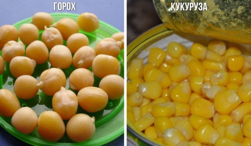 Как приготовить манку для рыбалки: манная болтушка, тесто, мастырка