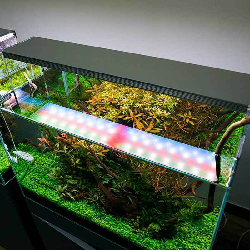 Как выбрать лампу для аквариума: виды светильников, какое должно быть освещение
