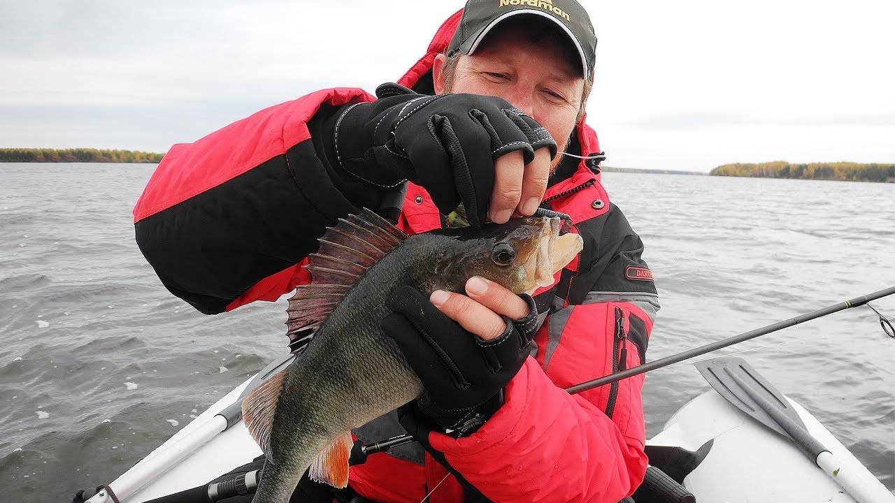 Рыбалка на Горьковском водохранилище