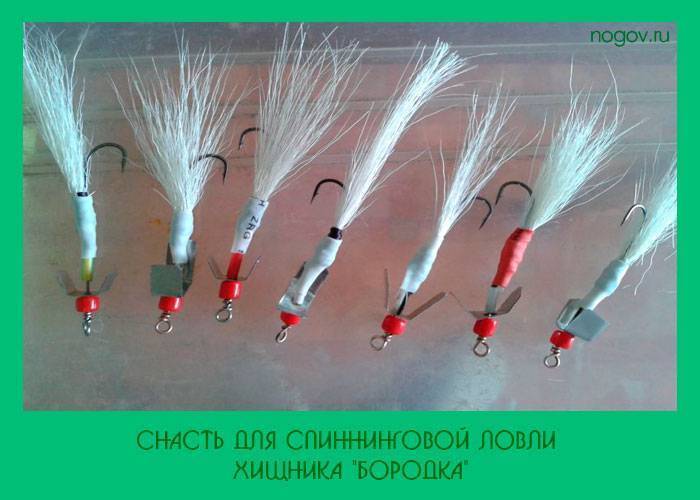 Секреты ловли жереха на спиннинг