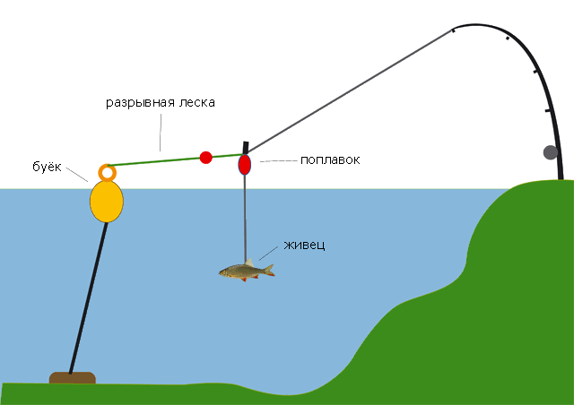 Донка для начинающих, ловля на донку, оснастка и техника ловли - рыбакmak