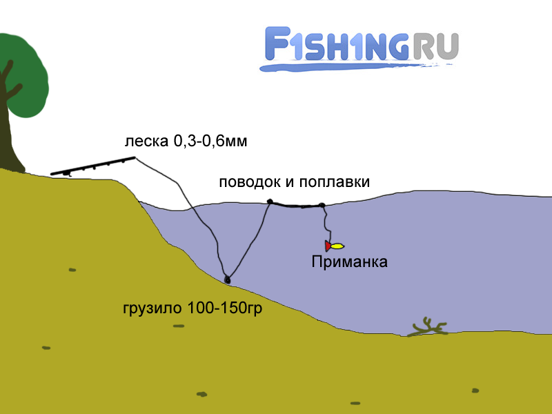 Спиннинг для рыбалки с берега: как правильно рыбачить