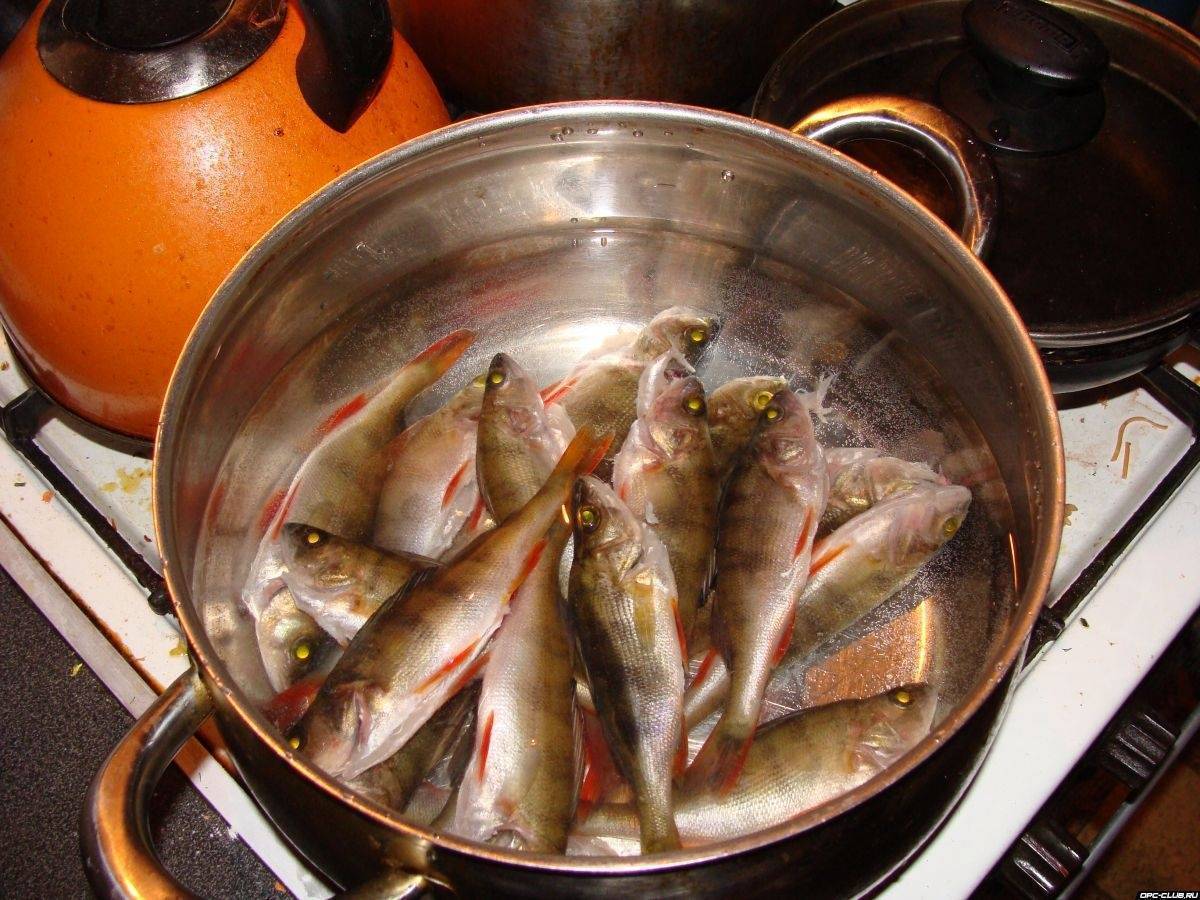 Уха из морской рыбы: рецепты приготовления в домашних условиях . милая я