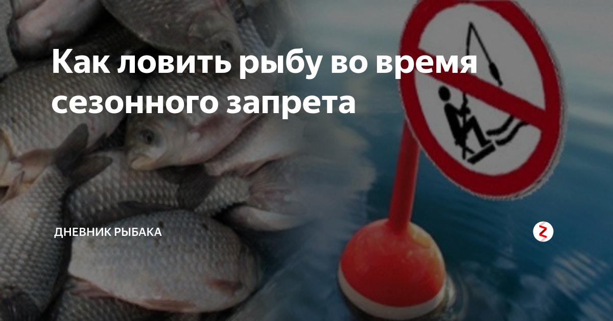 Нерестовый запрет в воронежской области. Запрет рыболовства. Запрет на ловлю рыбы. Нерест запрет. Нерестовый период.