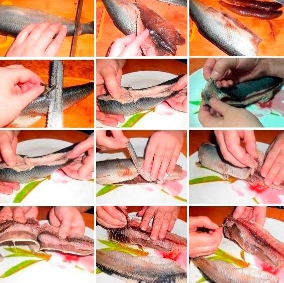 Как разделать рыбу - на филе, от костей, для жарки