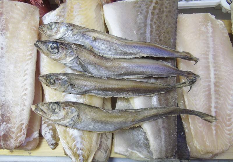 Рыба путассу: польза и вред, советы по выбору