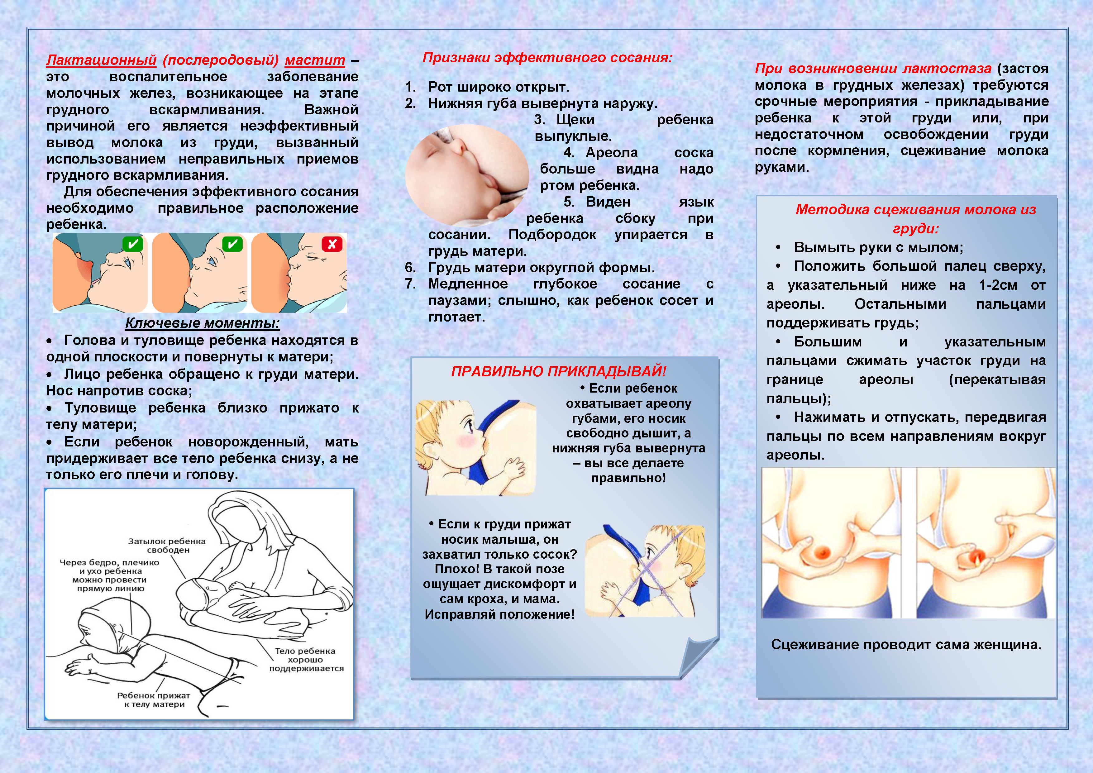как правильно прикладывать к груди малыша видео фото 83