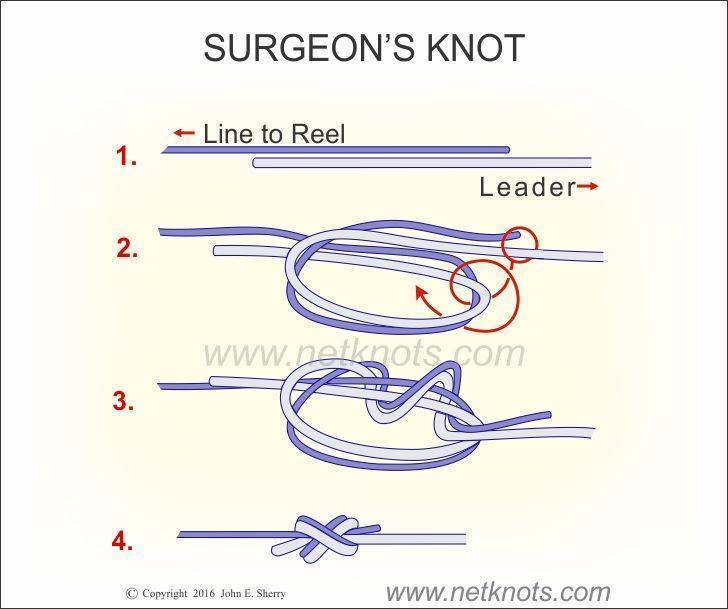Хирургический узел: как завязать для фидера