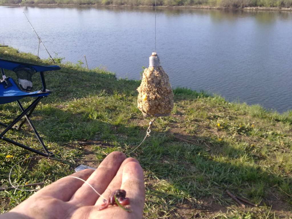 самая лучшая каша для карпа своими руками