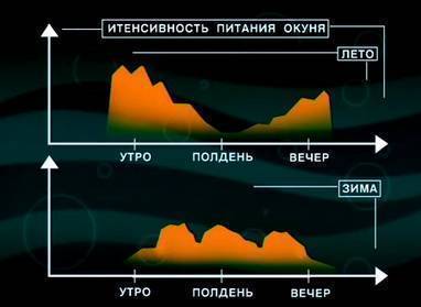 какое самое лучшее давление для ловли рыбы