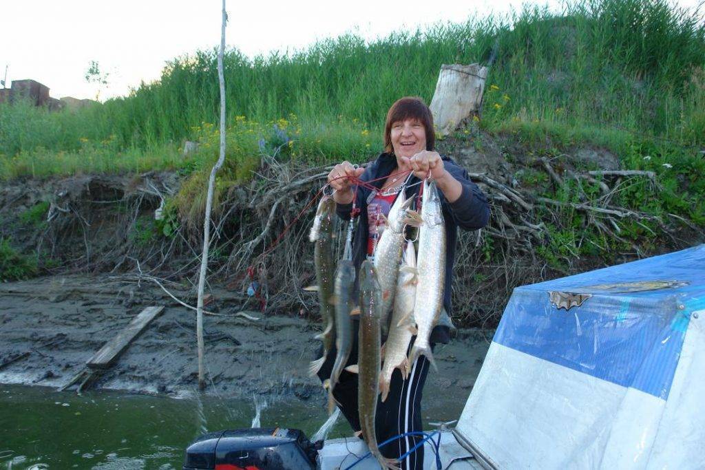 Где порыбачить в новосибирской области: обзор лучших мест