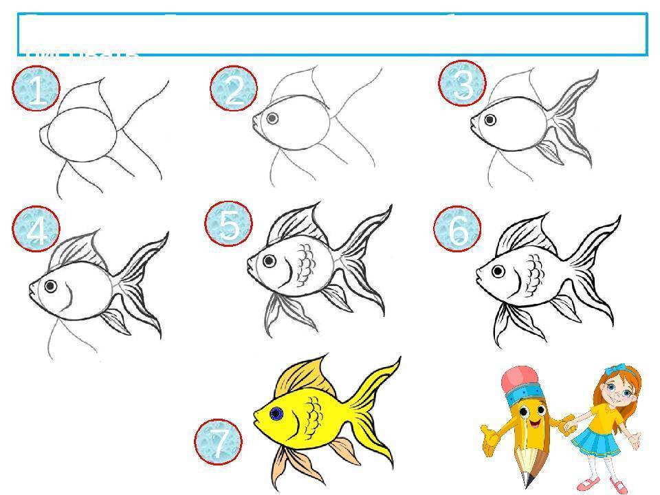 Как нарисовать рыбку карандашом поэтапно. рисование рыбки. поэтапно для детей