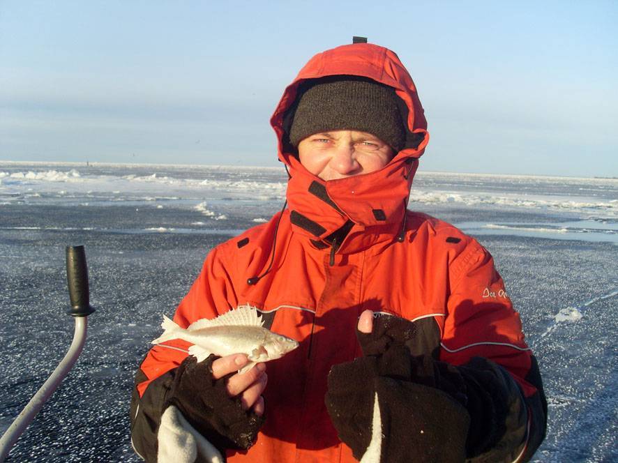 Ловля корюшки зимой на финском заливе - снасти и наживки