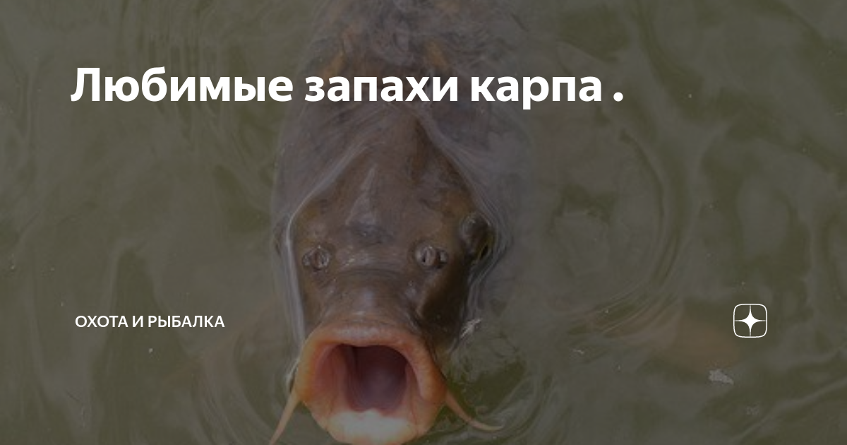 Вд-40 для рыбалки: отзывы, wd-40 как приманка для ловли рыбы (карася, щуки)