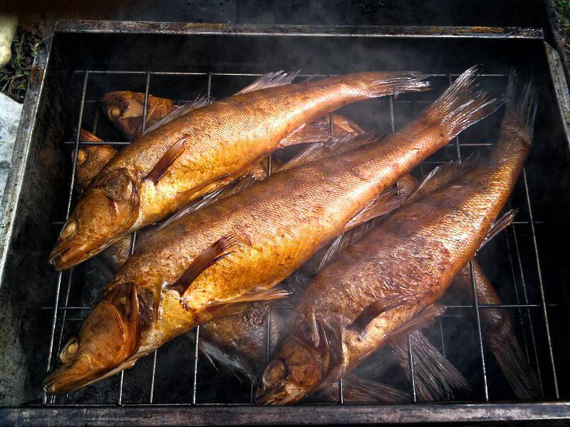 Рыба холодного копчения: технология приготовления в домашних условиях, сколько коптить по времени