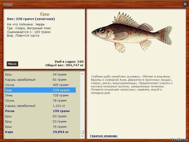 ерш рыба на что ловить. e5022a803c58221d941fb28615c8c57c. ерш рыба на что ловить фото. ерш рыба на что ловить-e5022a803c58221d941fb28615c8c57c. картинка ерш рыба на что ловить. картинка e5022a803c58221d941fb28615c8c57c.