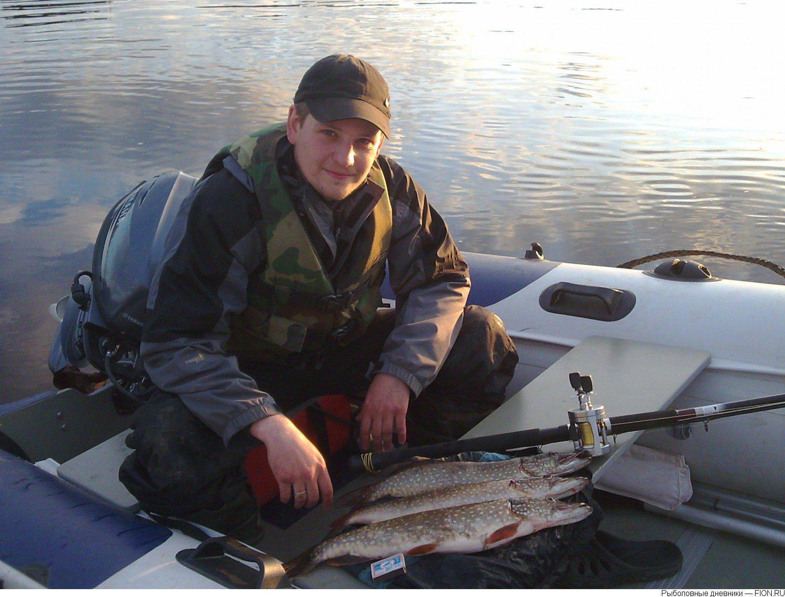 Плотва может обойтись дороже красной рыбы | ивановская газета