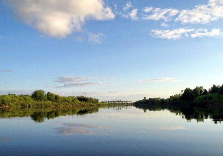 какая рыба водится в йошкар оле. Смотреть фото какая рыба водится в йошкар оле. Смотреть картинку какая рыба водится в йошкар оле. Картинка про какая рыба водится в йошкар оле. Фото какая рыба водится в йошкар оле