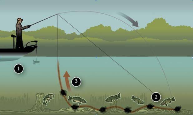 Как легко ловить рыбу. 5 хитростей рыбалки на поплавочную удочку