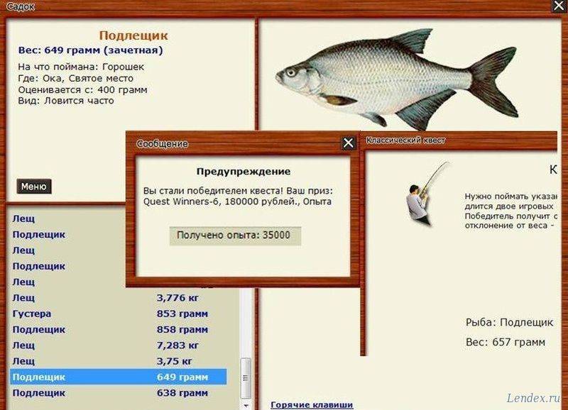Густера и лещ рыба фото и описание
