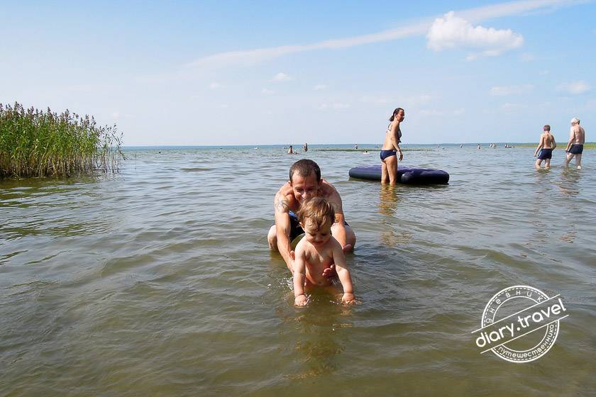 Где купаться на плещеевом озере. Базы отдыха у озера Плещеево. Плещеево озеро пляжи для купания. Плещеево озеро отдых фото. Развлечения на Плещеевом озере летом.