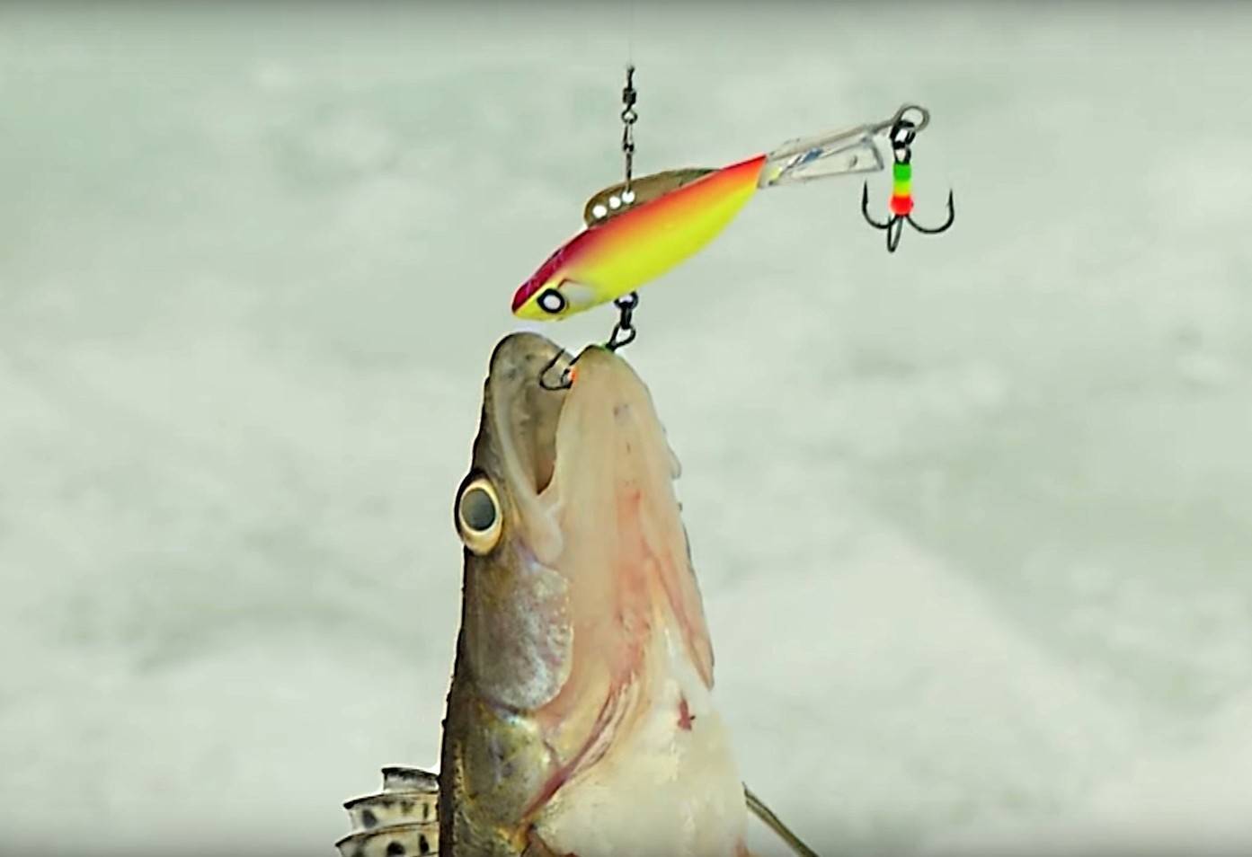 Ловля судака на балансир зимой - рыбачок!сайт рыбачок