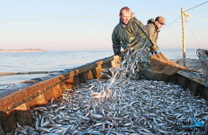 Рыбалка в финском заливе — летом скучать не придется!