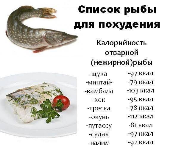 белое мясо рыбы название рыб. Смотреть фото белое мясо рыбы название рыб. Смотреть картинку белое мясо рыбы название рыб. Картинка про белое мясо рыбы название рыб. Фото белое мясо рыбы название рыб