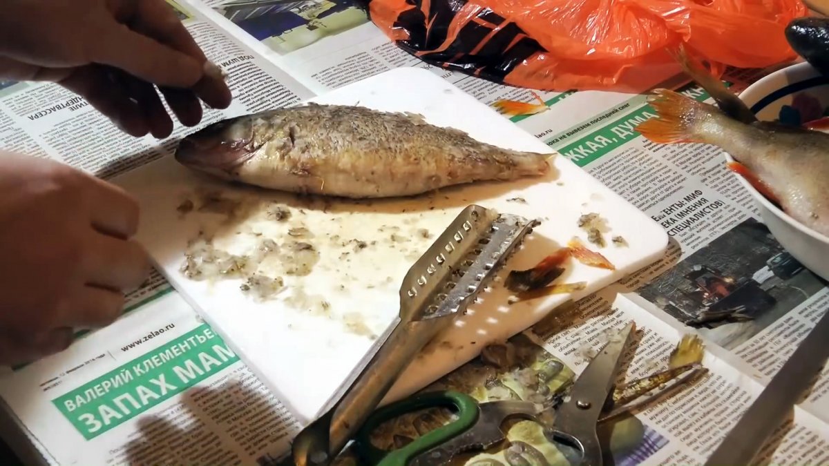 Как почистить морского окуня в домашних условиях