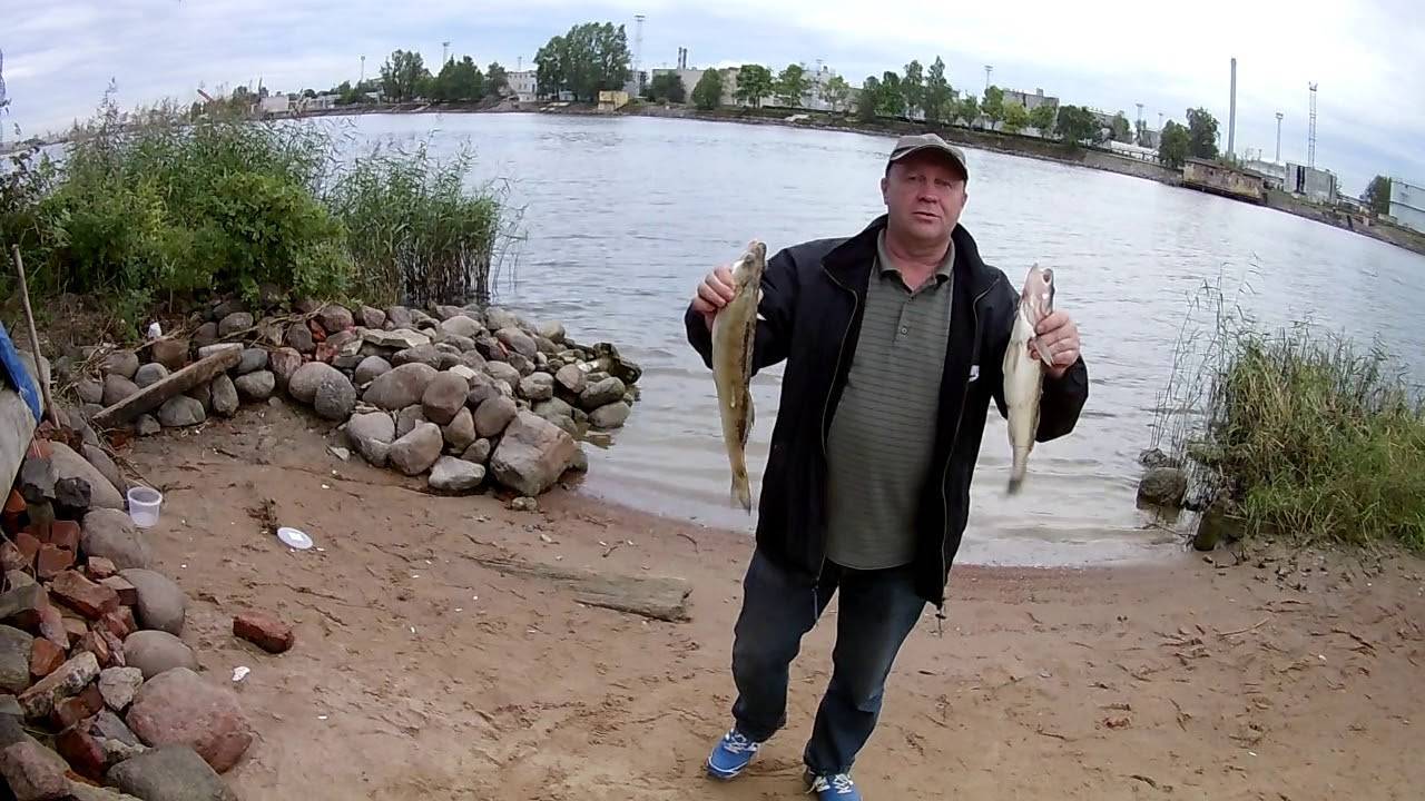 Рыбалка в ленинградской области. ленобласть