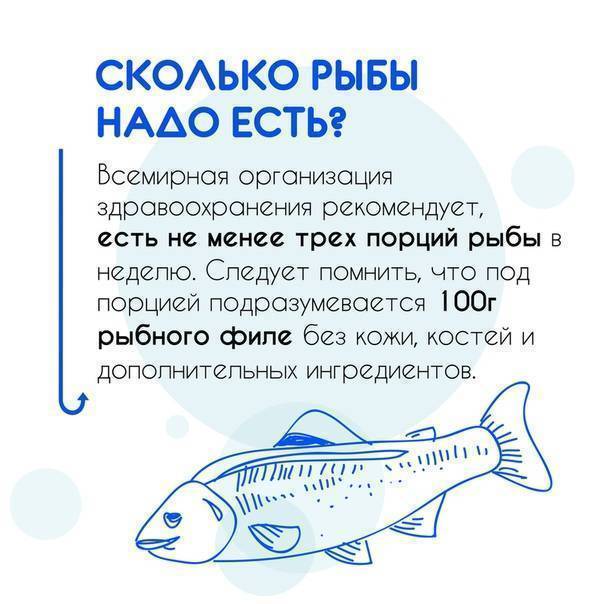 Сколько секунд длится память у рыб: мифы о домашних рыбках