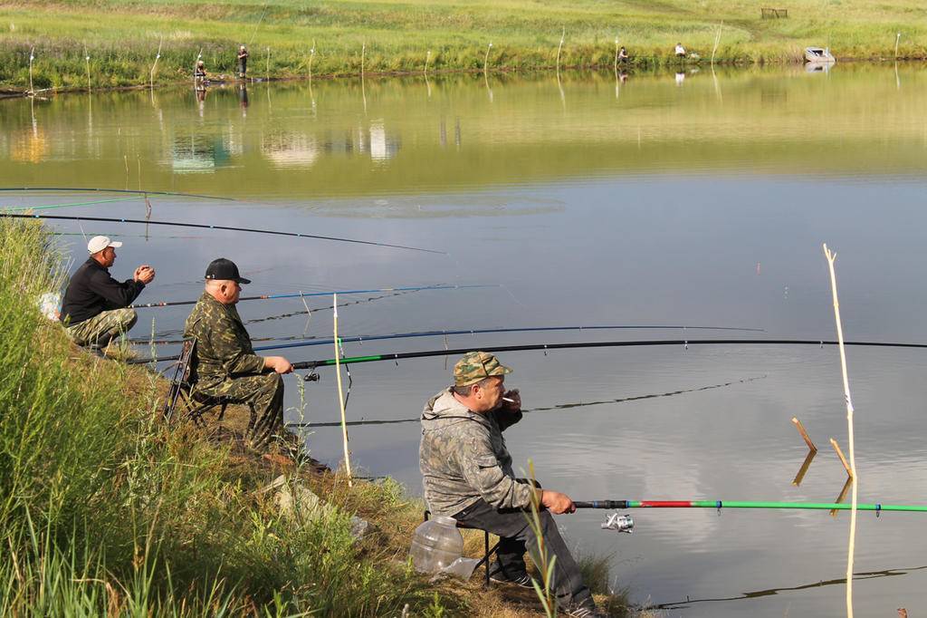 Места для рыбалки в республике коми – платная и бесплатная рыбалка!