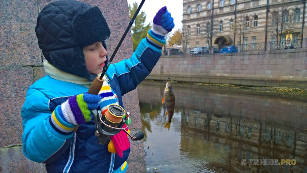 Рыбалка спб клуб. Рыбалка в Петербурге. Рыбацкие места в СПБ. Карповка для рыбалки. Рыбалка в СПБ на реке новая.