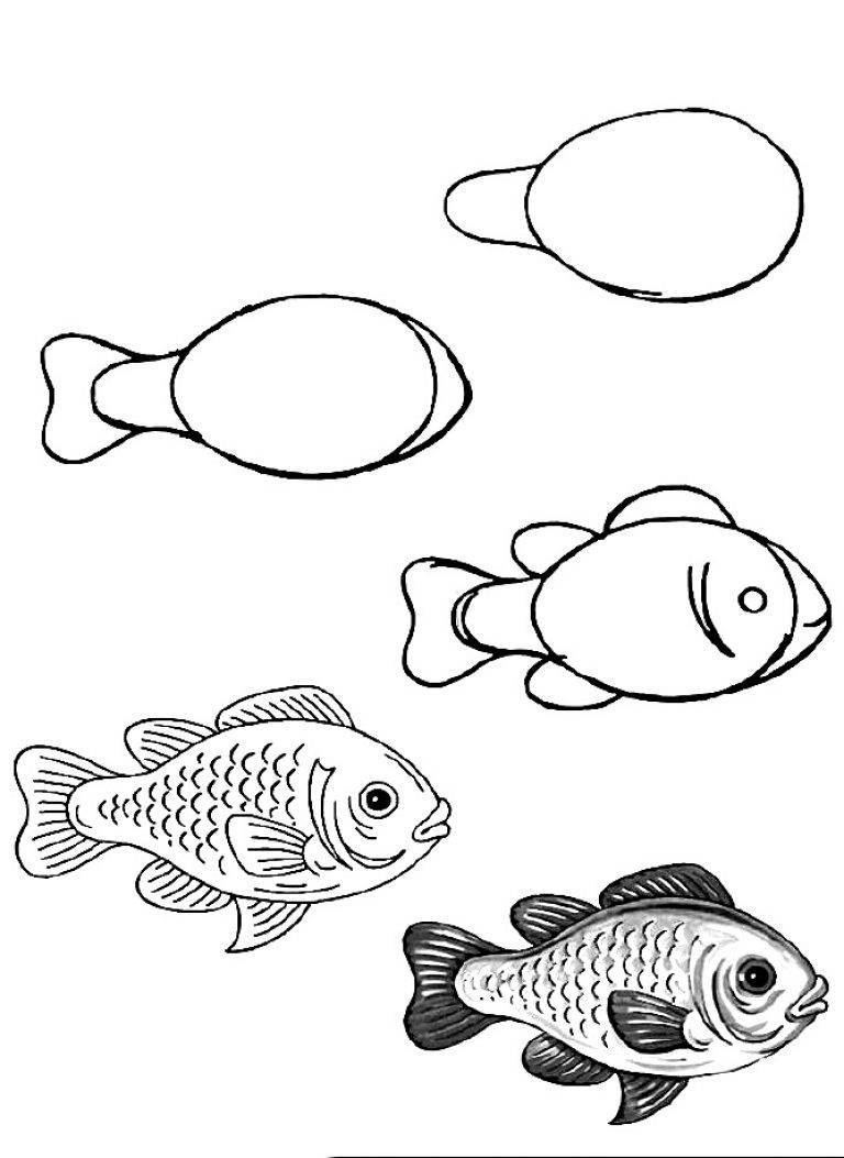 Как нарисовать рыбку карандашом поэтапно: легкий мастер-класс для начинающих, рисуем золотую рыбку в аквариуме