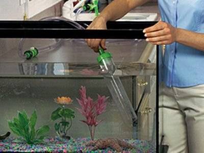 Почему мутнеет вода в аквариуме: основные причины появления на второй день после замены и подмены, а также, как с этим бороться и что делать с неприятным запахом