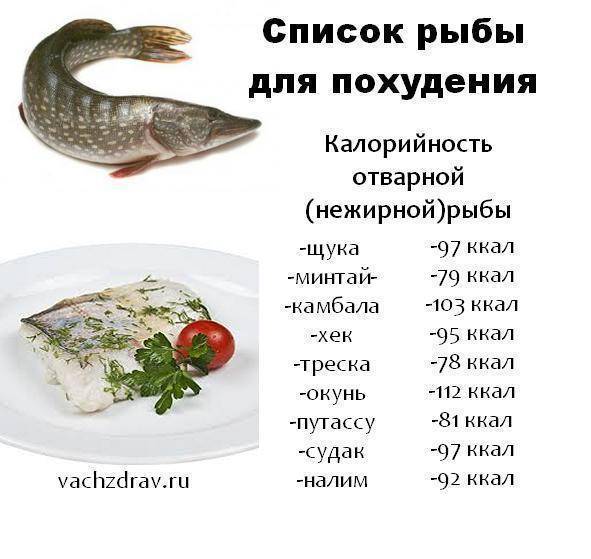 Нежирная рыба для диеты - полный список и рекомендации по приготовлению